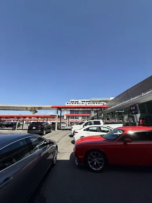 Avis Car Rental Picture 5