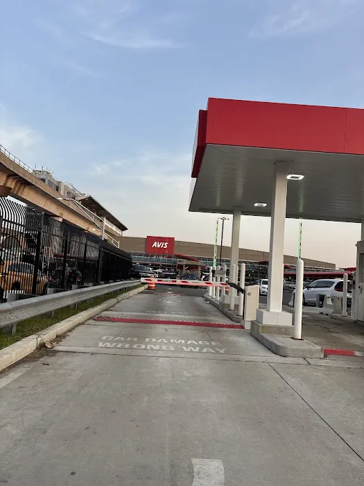 Avis Car Rental Picture 7
