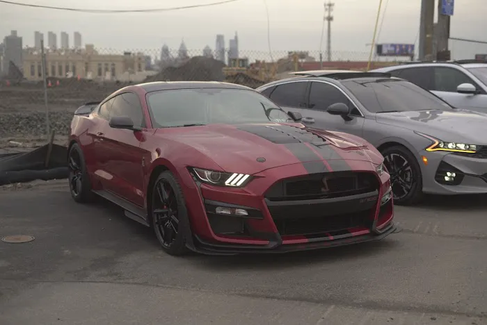 MTM EXOTIC RENTALS Picture 8