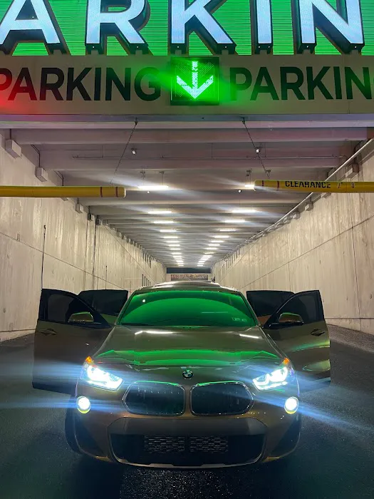 MTM EXOTIC RENTALS Picture 5