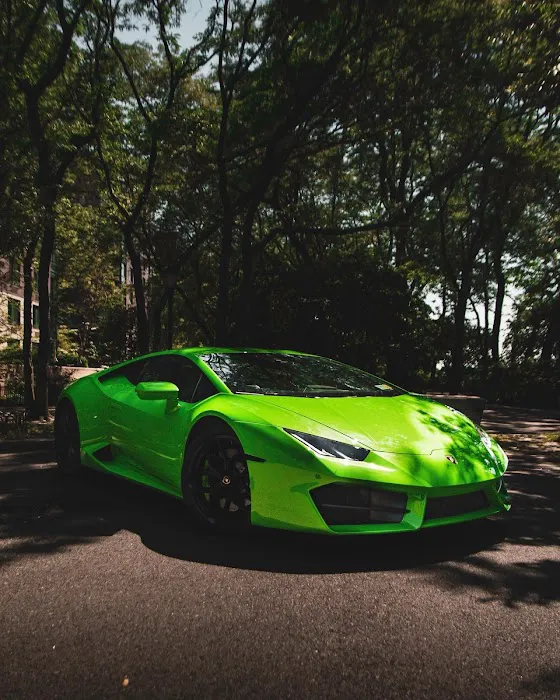 Veluxity Exotic Car Rental NYC Picture 1