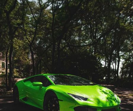 Veluxity Exotic Car Rental NYC