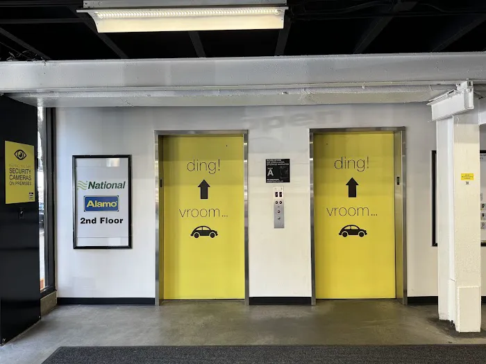 Alamo Rent A Car Picture 6