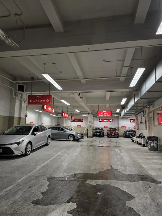 Avis Car Rental Picture 5