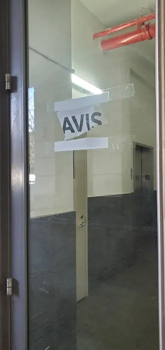 Avis Car Rental Picture 2