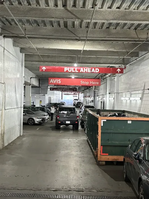 Avis Car Rental Picture 7