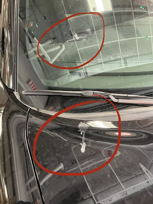 Avis Car Rental Picture 6