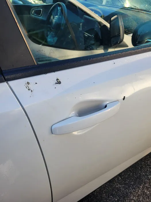 Dollar Rent A Car Picture 5