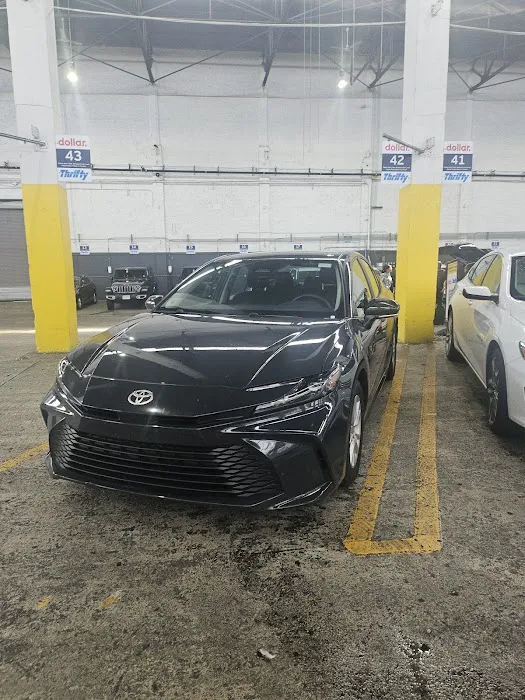 Dollar Rent A Car Picture 6