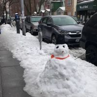 Rent a Car New York Services ico