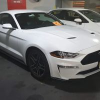 Avis Car Rental ico