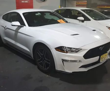 Avis Car Rental