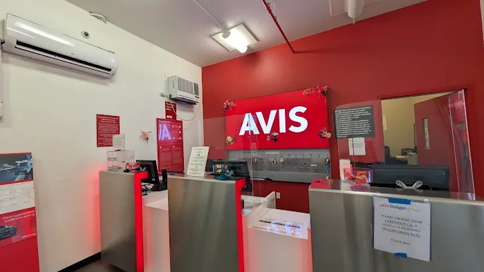 Avis Car Rental Picture 4