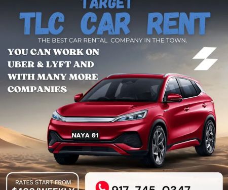 TLC CAR RENTAL ( TARGET USA INC)