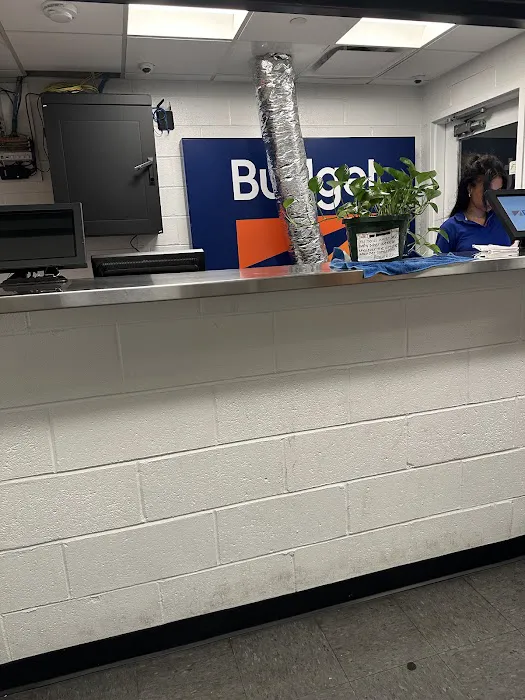 Budget Car Rental Picture 4