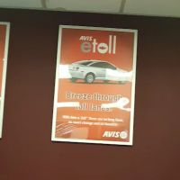Avis Car Rental ico