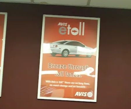 Avis Car Rental