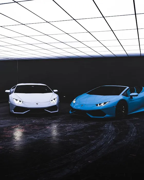 AAXOTICS PREMIUM CAR RENTALS Picture 5