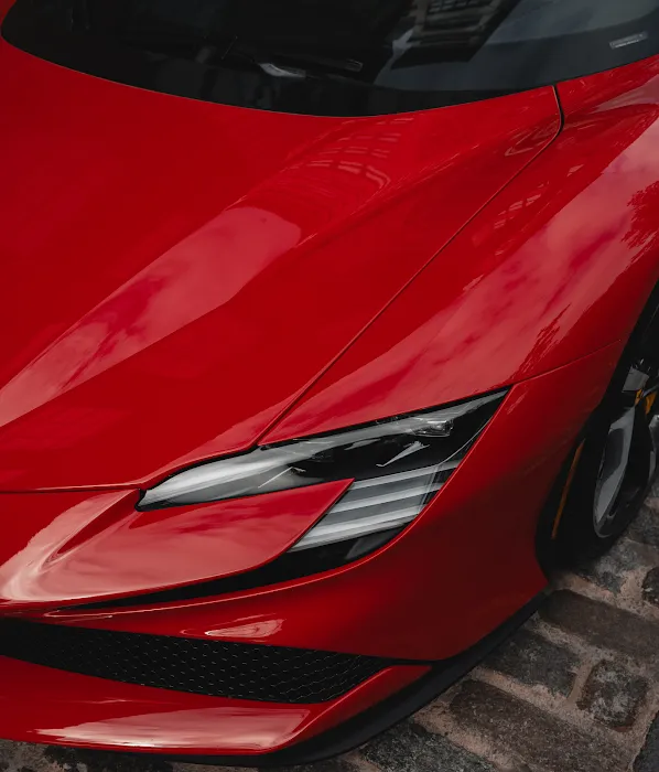 STREET EXOTICS Picture 2