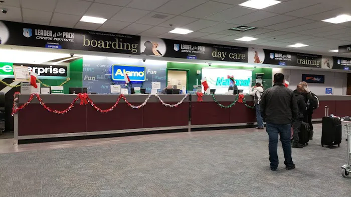Enterprise Rent-A-Car Picture 7