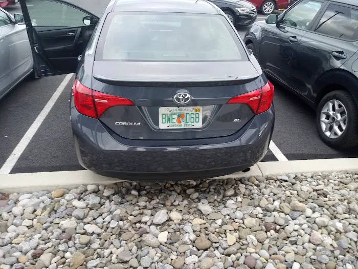 Budget Car Rental Picture 7
