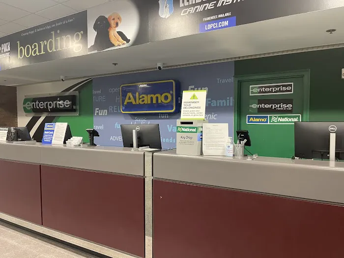 Alamo Rent A Car Picture 1
