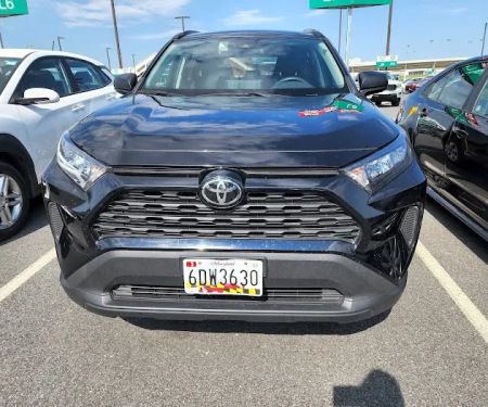 Avis Car Rental