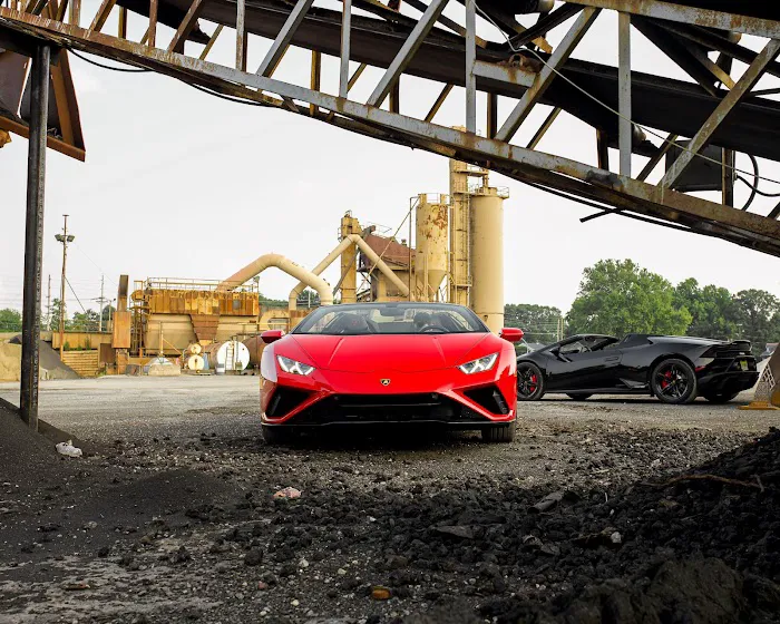 Mob Exotic Picture 4