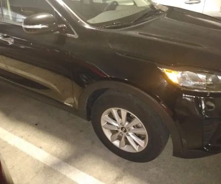 Avis Car Rental