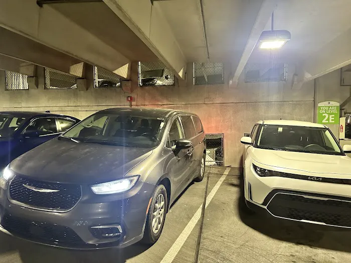 Avis Car Rental Picture 9