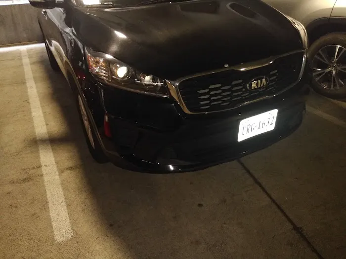 Avis Car Rental Picture 4