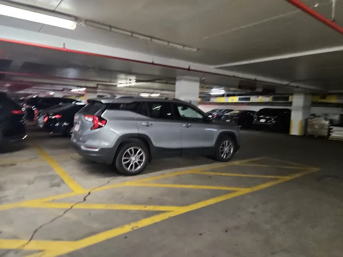 Budget Car Rental Picture 4