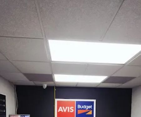 Avis Car Rental