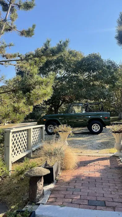 The Classic Car Group Picture 9