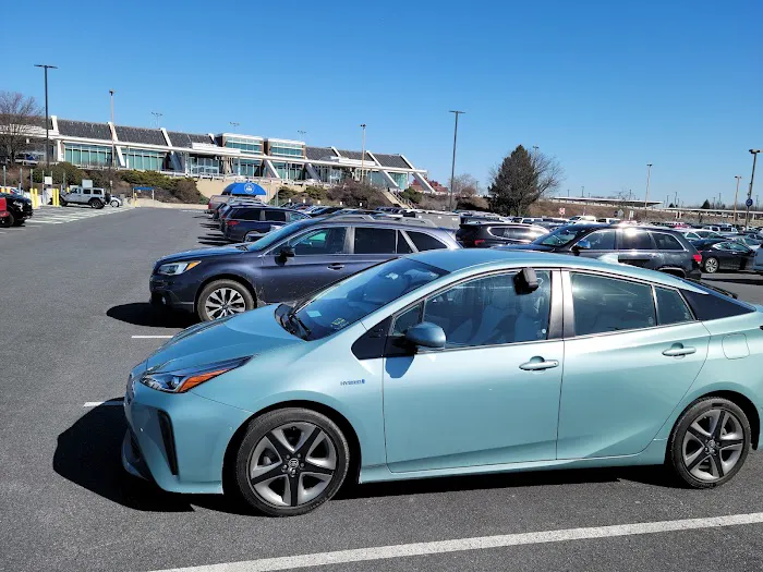 Horizon Car Rental Picture 2