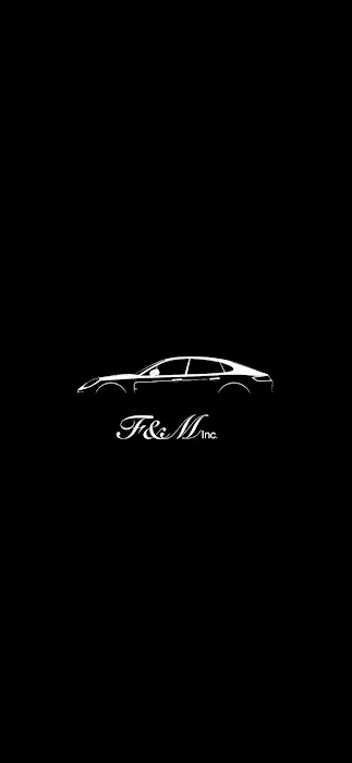 F & M Car Rentals Picture 8