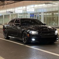 RAW EXOTIC RENTALS ico