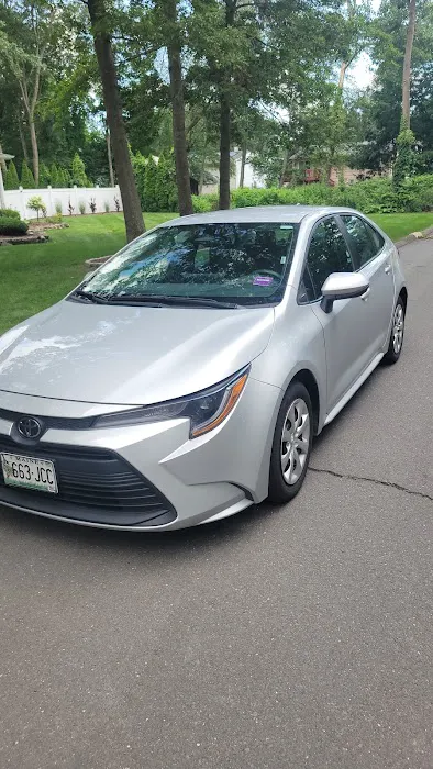 Budget Car Rental Picture 1