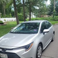 Budget Car Rental ico
