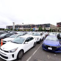 Avis Car Rental ico