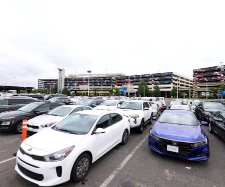 Avis Car Rental