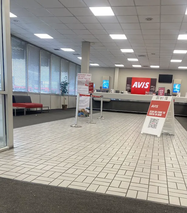 Avis Car Rental Picture 2