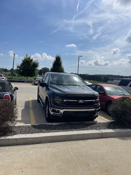 Alamo Rent A Car Picture 3