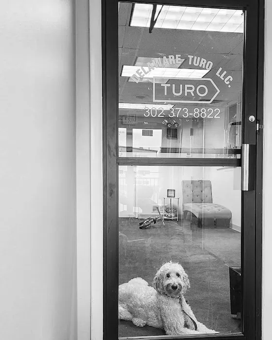 Delaware Turo LLC. Picture 3
