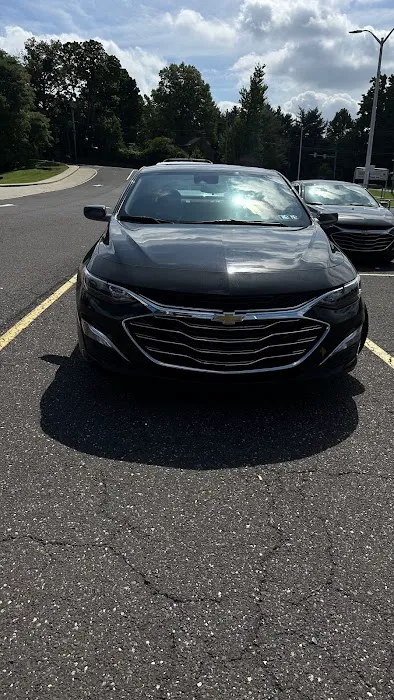 Buggy Rideshare Rental - Philadelphia Picture 5