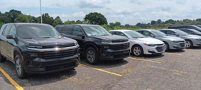 Buggy Rideshare Rental - Philadelphia Picture 3