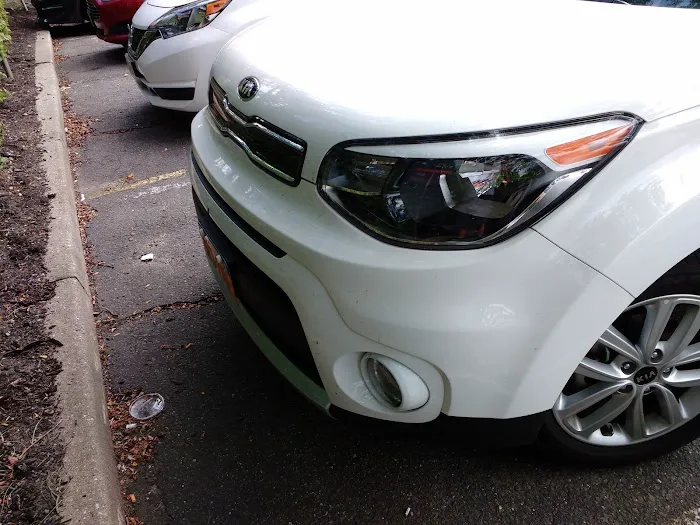 Avis Car Rental Picture 6
