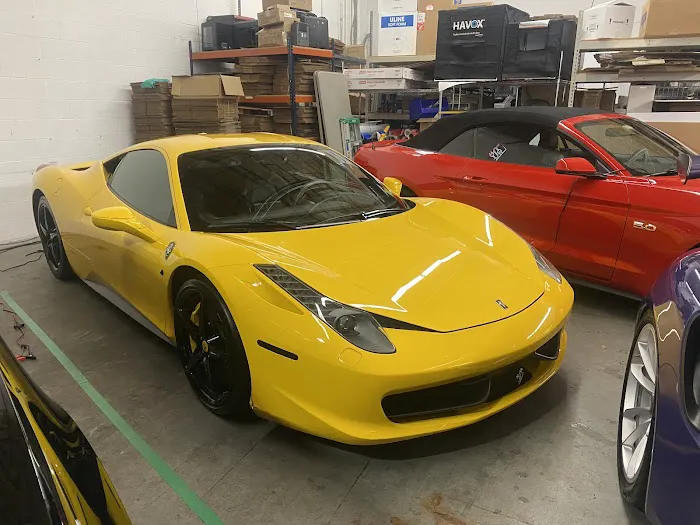 Cloud 9 Exotics Picture 5
