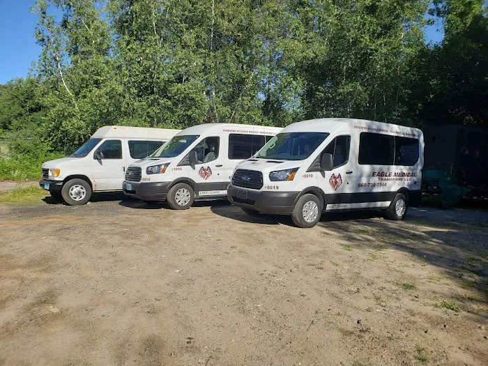Eagle Medical Transport LLC Picture 4