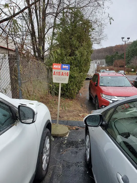 Avis Car Rental Picture 6